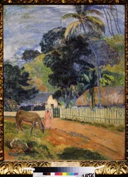 Landschaft. Ein Pferd auf einer Straße