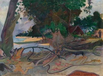Te burao (Der Hibiskusbaum)