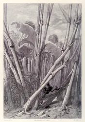 Gulliver sieht Landarbeiter so hoch wie Kirchtürme und versteckt sich in einem Weizenfeld, aus der französischen Ausgabe von Gullivers Reisen von Jonathan Swift