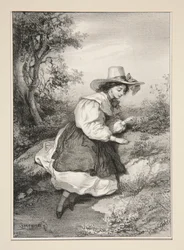 Die zwei Gänseblümchen