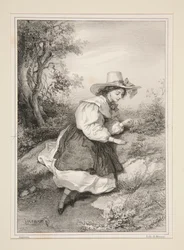 Die zwei Gänseblümchen.