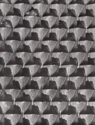 Oberfläche einer Schusterraspel (s/w Foto)