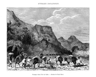 Landschaft auf der Insel Kuba, 19. Jahrhundert