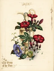 Blumenstrauß aus scharlachroter Ipomoea und blauer Prunkwinde mit Vase