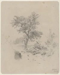 Landschaft mit Eiche