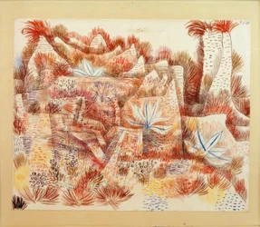Landschaft mit Agaven