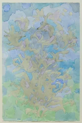 Olivenbaum