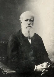 Porträt von Dom Pedro, Kaiser von Brasilien