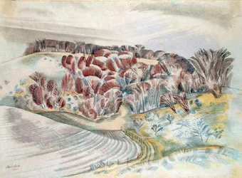 Landschaft