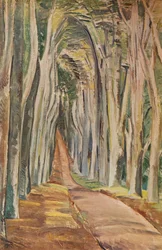 Savernake Wald, 1935