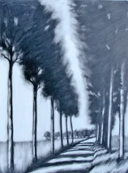 Allee