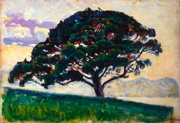 Große Kiefer, Saint-Tropez, 1892-1893