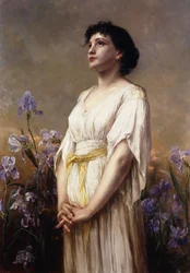 Die Schönheit der Iris