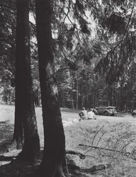 Eine Rast im Wald, Bayern