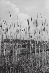 In der bayerischen Landschaft