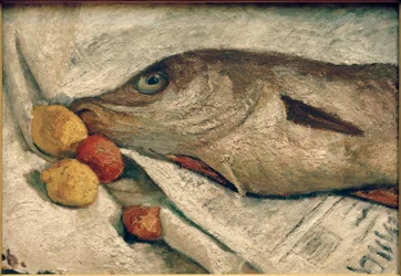 Stillleben mit Schellfisch