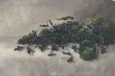 Veilchen, ca. 1890