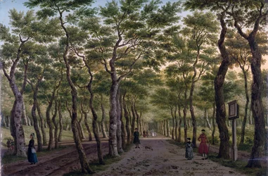 Der Herepad im Haagse Bos