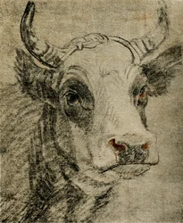 Tierstudie