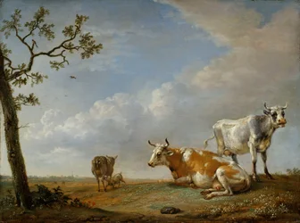 Ruhende Tiere auf der Weide
