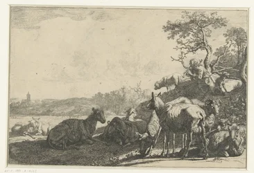 Der Schäfer