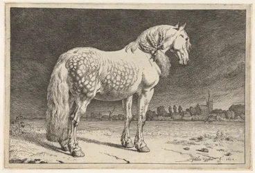 Das friesische Pferd Pferde (Serientitel)