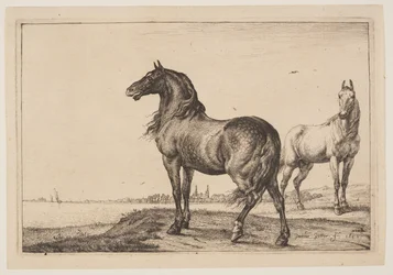 Das gestutzte Pferd, aus der Serie von Pferden