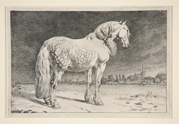 Das Friesische Pferd