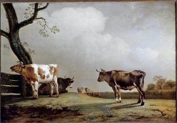 Die Wiese