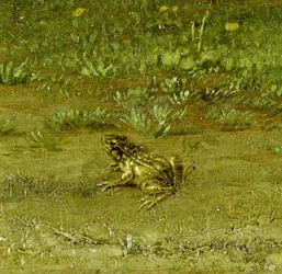 Kröte, Detail eines Landsmanns mit seiner Herde, 1648
