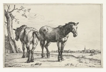 Zwei Pflugpferde (Paarden)