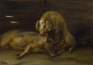 Zwei Schweine im Stall, 1649