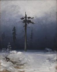 Baum in einem winterlichen Wald