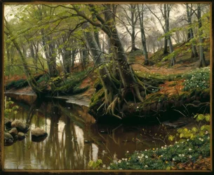 Frühlingstag am Waldesrand