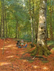 In der Waldlichtung