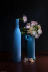 Botanisches Blau und Rosa