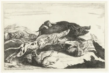 Hunde jagen ein Wildschwein