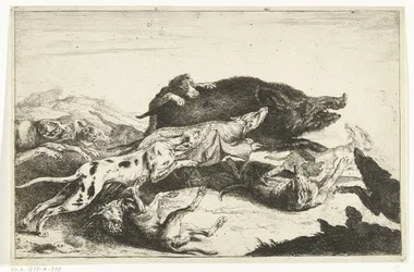 Hunde jagen ein Wildschwein