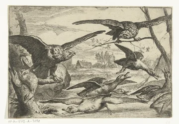 Raubvögel