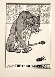 Die fatale Ehe, aus Hundert Fabeln von Aesop, veröffentlicht 1903
