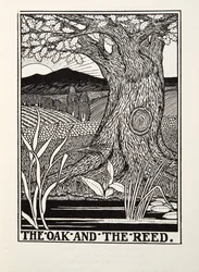 Die Eiche und das Schilfrohr, aus Fontaine Fabeln, veröffentlicht 1905