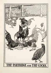 Das Rebhuhn und die Hähne, aus Hundert Fabeln von Äsop, veröffentlicht 1903