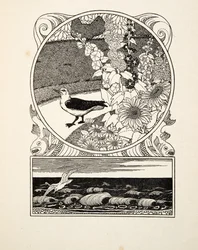 Die zahme Möwe, aus Hundert Anekdoten von Tieren, veröffentlicht 1924 (Gravur)