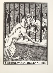 Der Wolf und der magere Hund, aus Fontaine Fabeln, veröffentlicht 1905