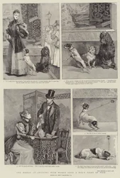 Das Elend des Einkaufens mit Frauen aus der Sicht eines Hundes