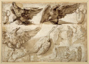Studien eines Adlers, einer Gans, eines Krugs, eines Gefäßes und menschlicher Figuren, darunter zwei für eine Vergewaltigung der Lucretia