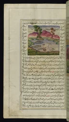 Ein Reiher, eine Krabbe und ein Fisch aus Lichter von Canopus