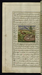 Ein Schakal frisst einen Hasen aus Lichter von Canopus, 1847