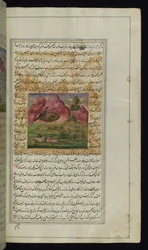 Eine Schlange und die Küken einer Krähe aus Lichter von Canopus