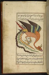 Der Simurgh, ein iranischer Donnervogel, aus 